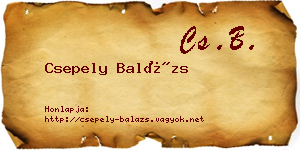 Csepely Balázs névjegykártya